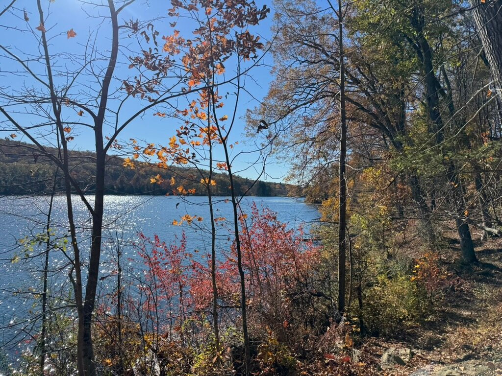 The Ampersand Inn主图