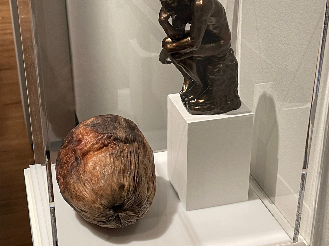 Chazen Museum of Art-麦迪逊必去景点