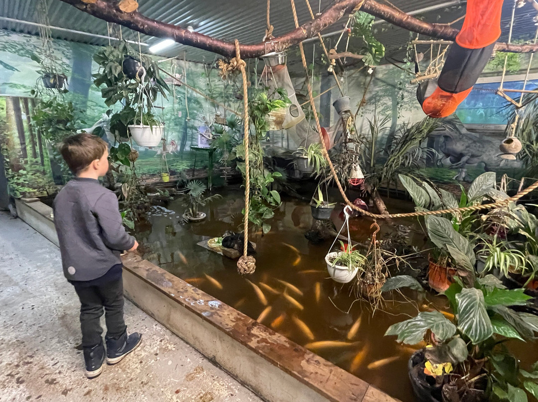 Monkey World-希勒洛必去景点