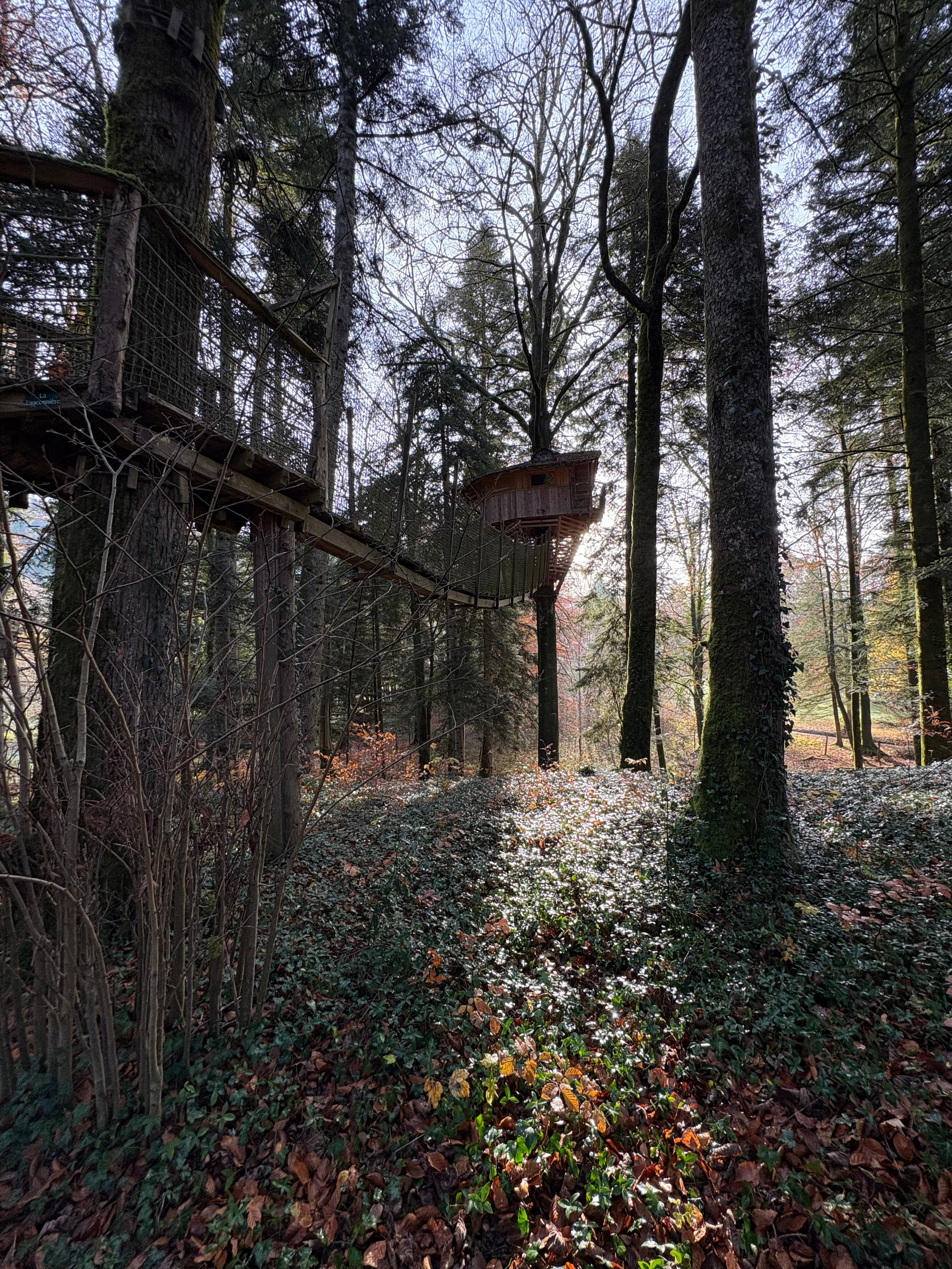 Domaine de Syam-官方