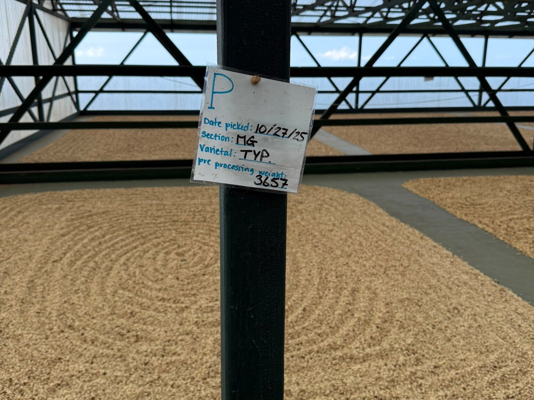 夏威夷仙境农场-哈陆亚洛亚必去景点