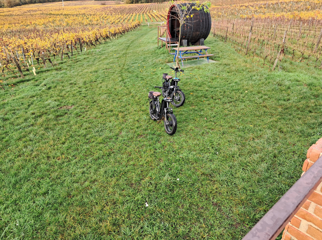 O Coeur des Vignes-Coteaux-sur-Loire必去景点