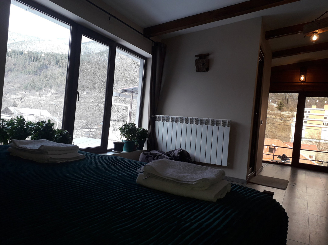 Likani酒店住宿-Guest House Metreveli