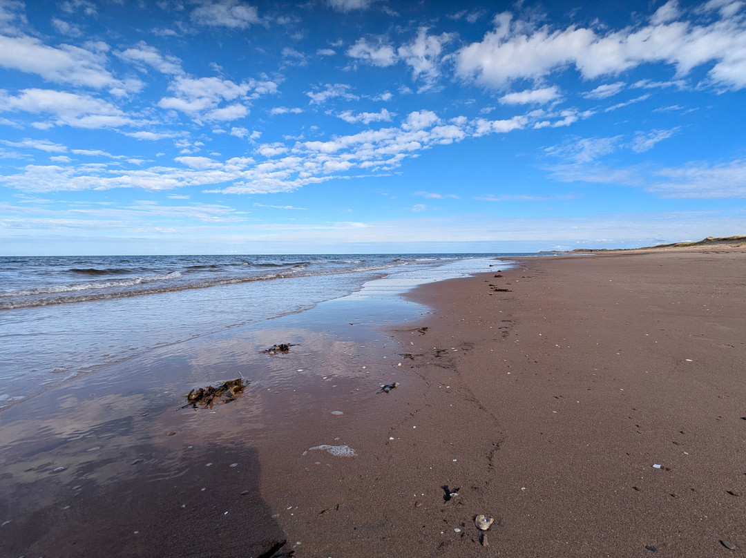 Brackley Beach-Brackley Beach必去景点