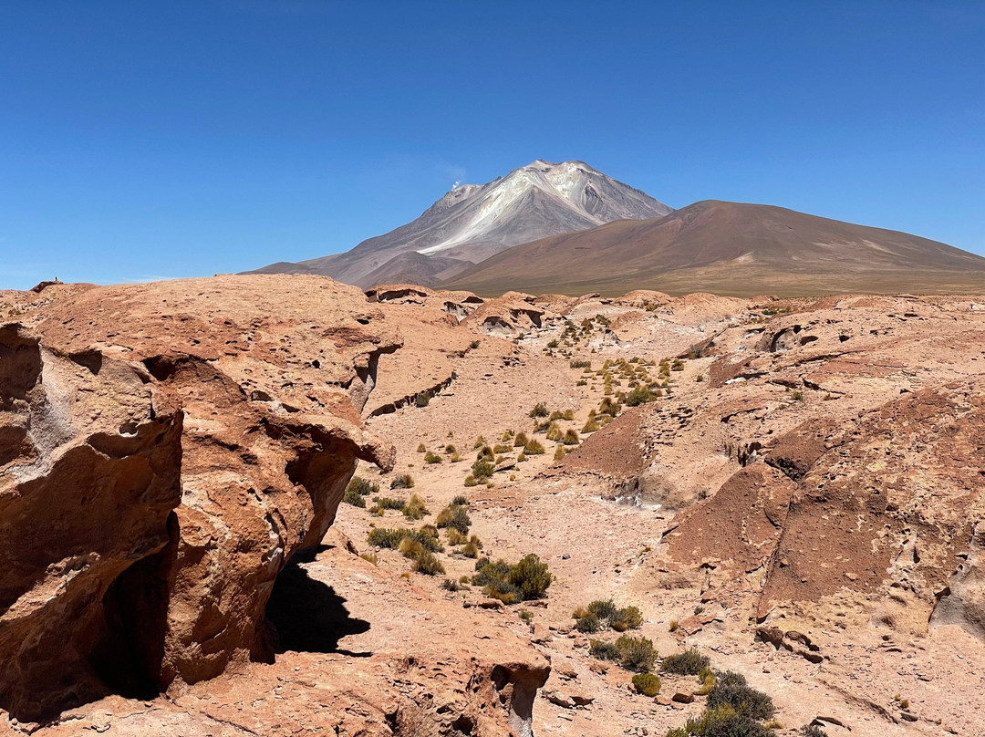 Andes Salt Expeditions Tour Operator-乌尤尼必去景点