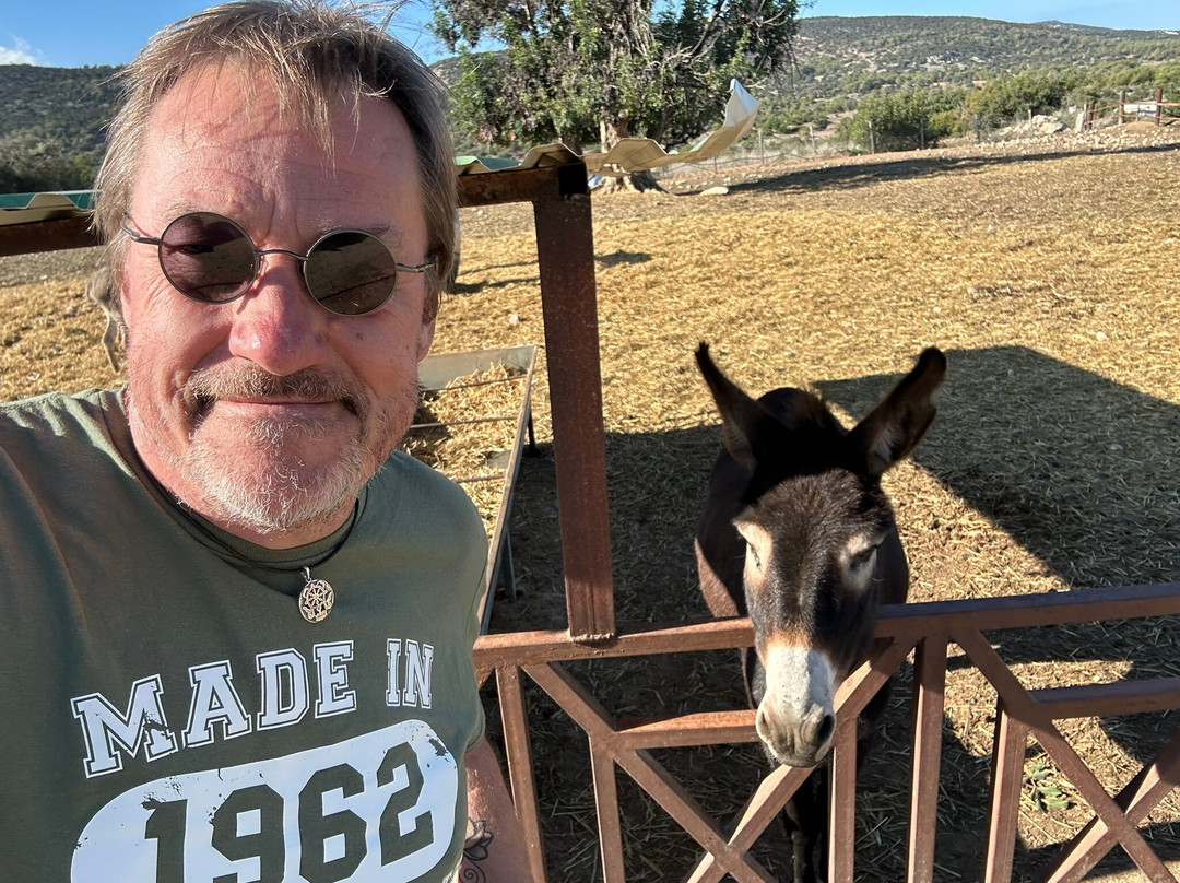 Petrides Rentals-Latchi必去景点