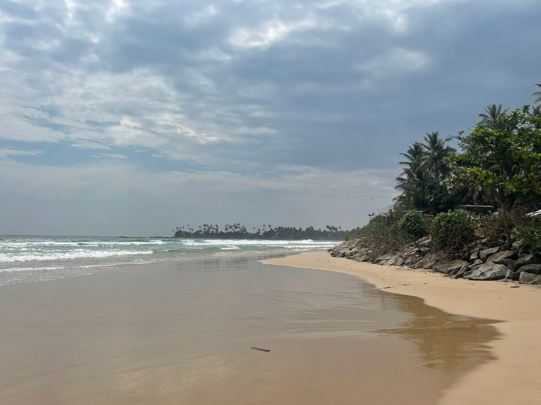 The NatureSurf Villas