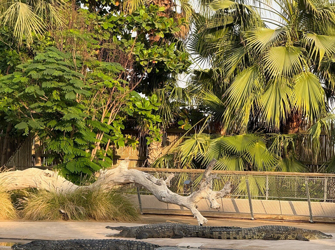 Dubai Crocodile Park-迪拜必去景点