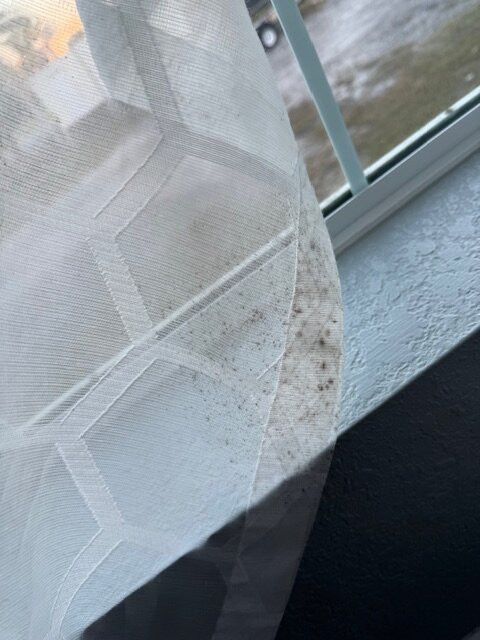 Ivey House Everglades Adventures Hotel主图