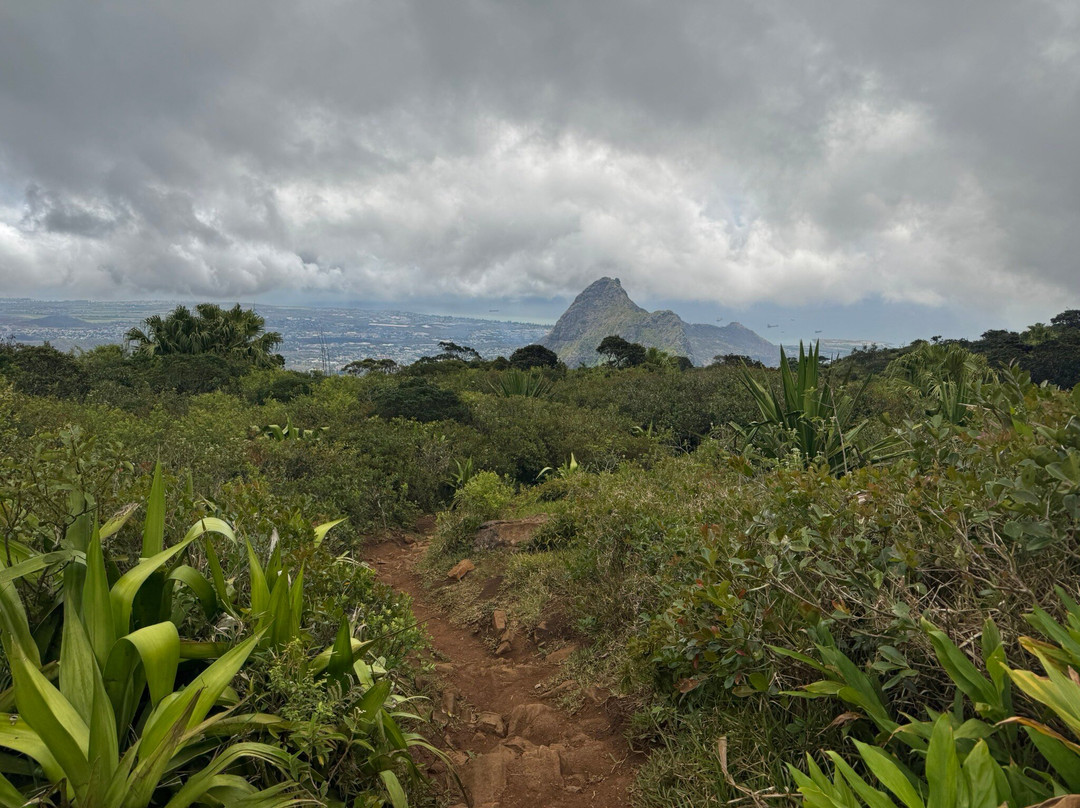 Le Pouce-路易士港必去景点