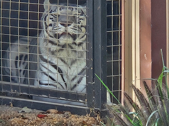 Hovatter's Wildlife Zoo-Kingwood必去景点