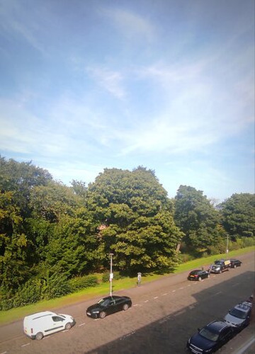 24号皇家露台酒店主图