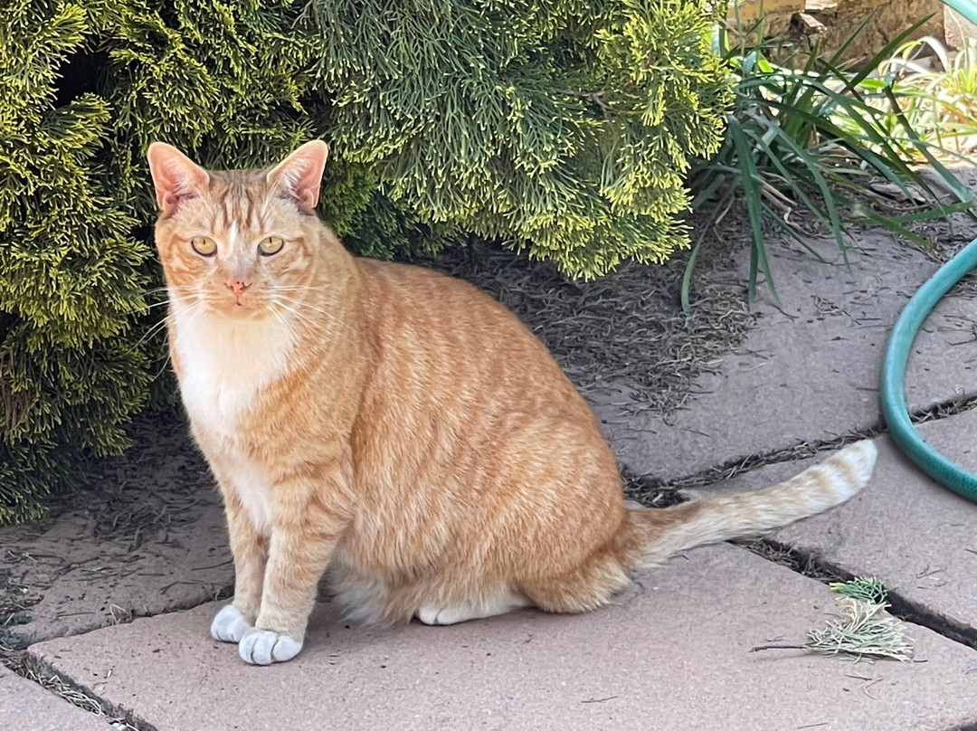 Highgrove Guest House主图