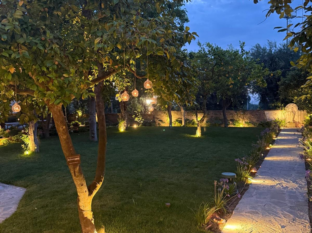 Unconventional Sorrento主图