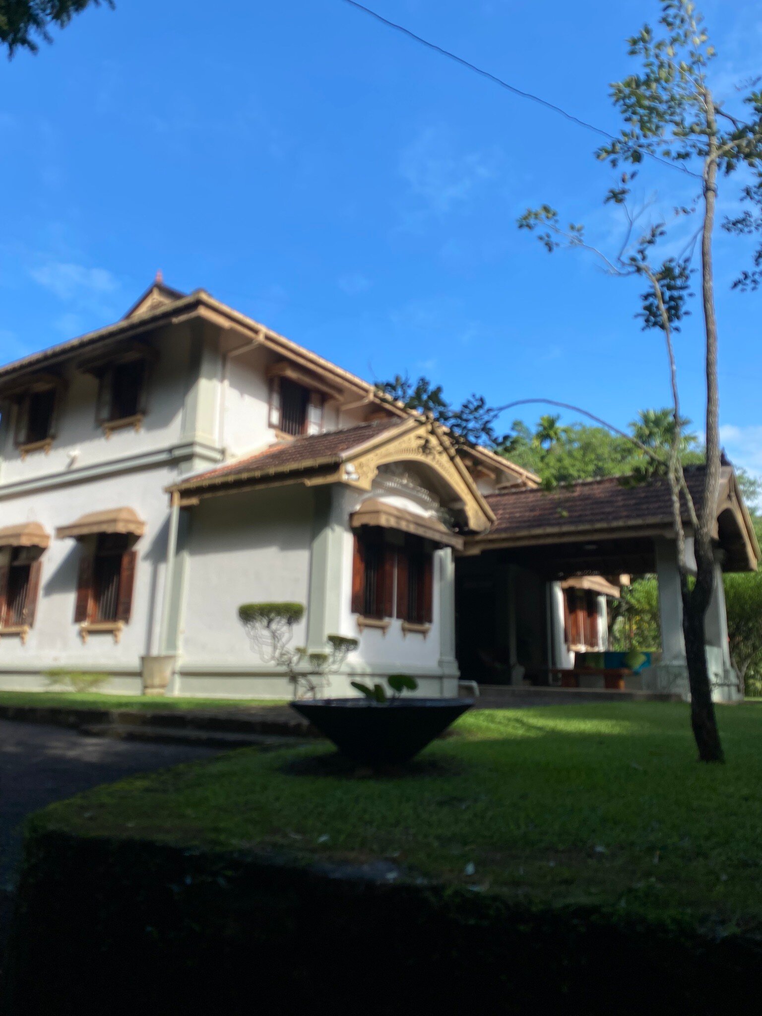 Shrawani Organics & Tea Estate-官方