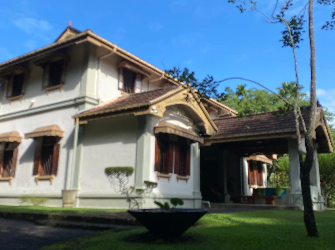 Shrawani Organics & Tea Estate主图