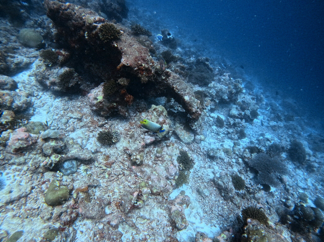 Euro-Divers Meeru-蜜月岛必去景点