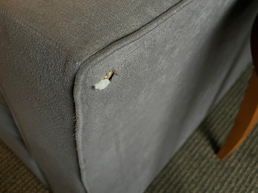 Cambridge Suites - Halifax主图