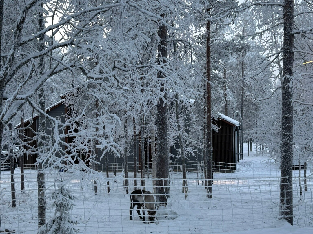 Nova Skyland Hotel主图