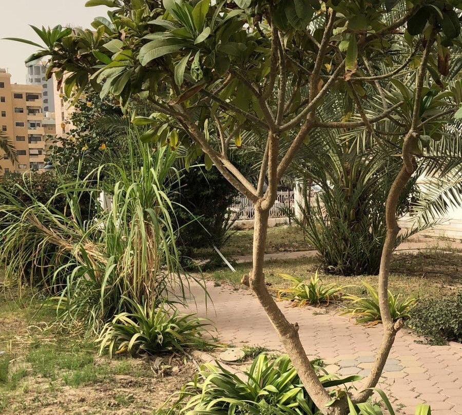 Sabeeka Duaej Al Sabah Mosque-Hawalli Governorate必去景点