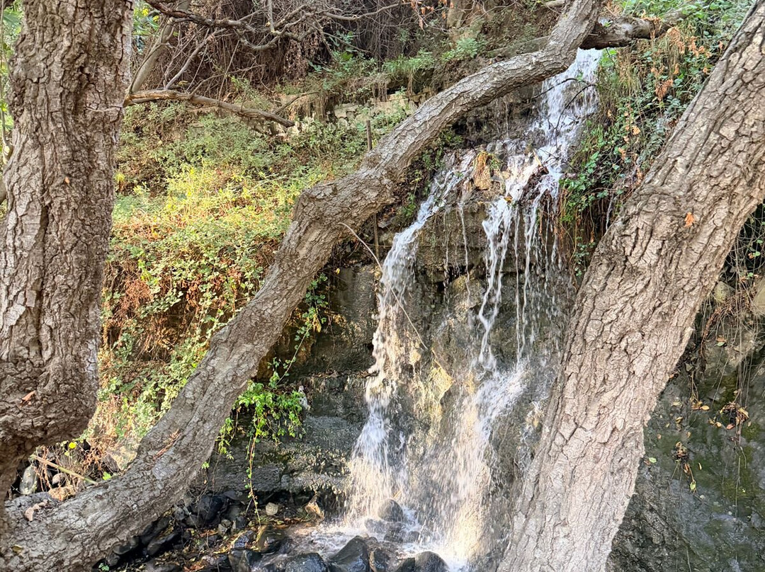 Kakopetria Safari Atv-卡科佩特里亚必去景点