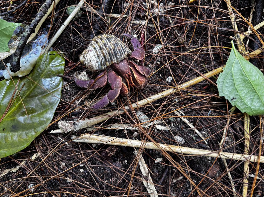 Guam Private Boat Trips-Merizo必去景点