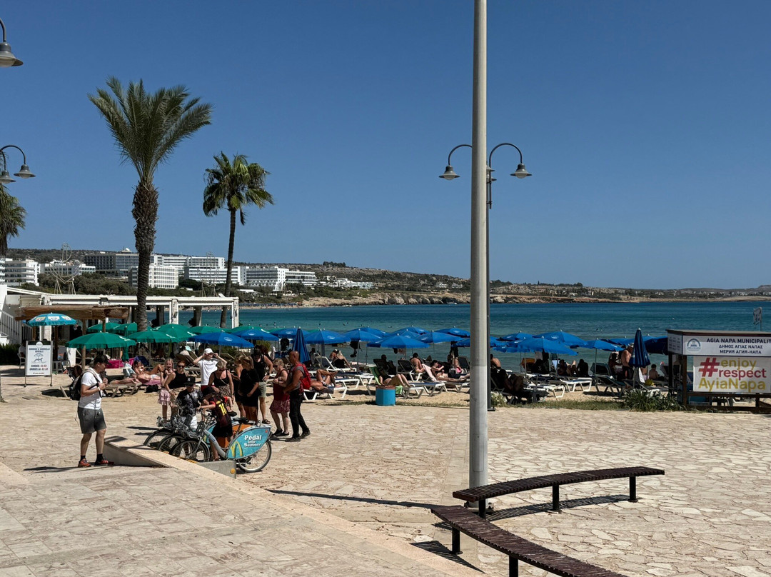 Ayia Napa Harbour-阿依纳帕必去景点
