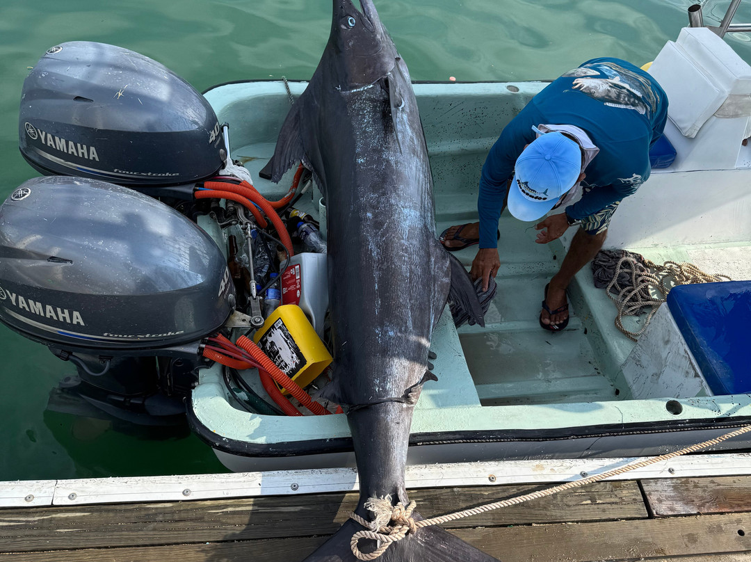 Fishing with Pulpo-瓦图尔科必去景点