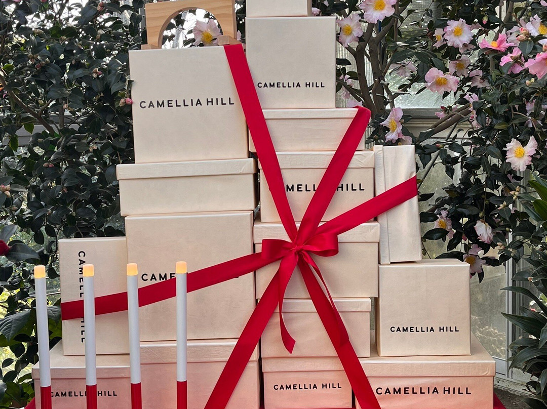 Camellia Hill-西归浦市必去景点