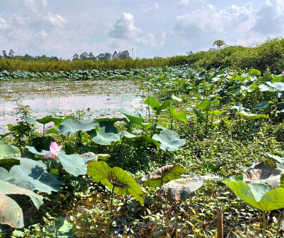 Alden Travel-朱笃必去景点