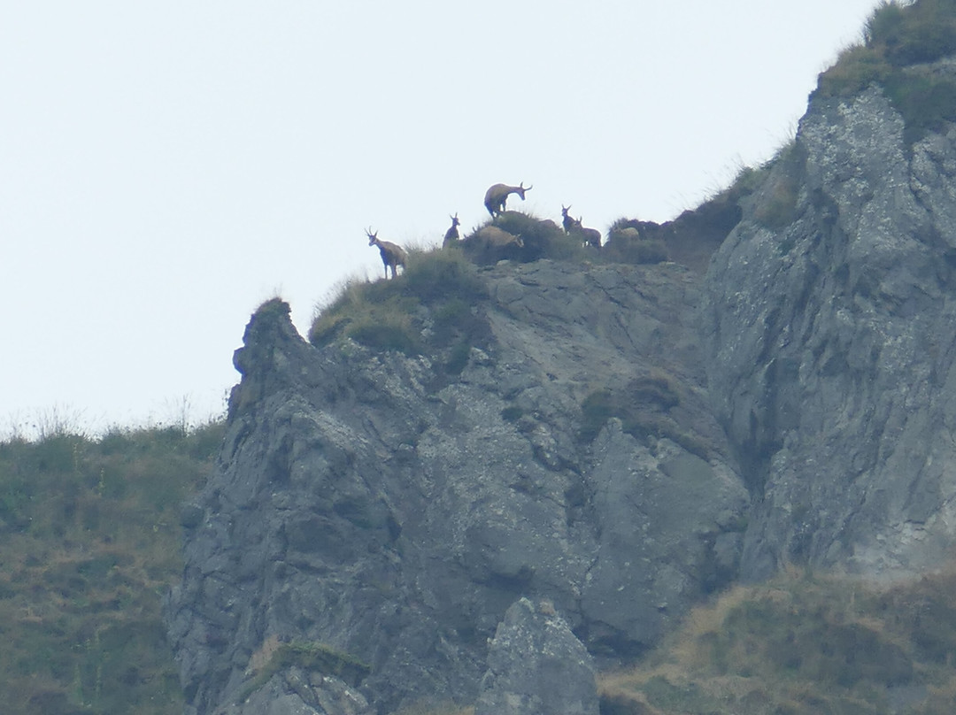 Puy De Sancy-蒙多尔必去景点
