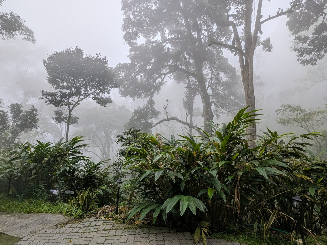 31st December Farms & Estates Munnar主图