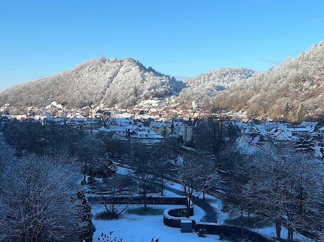 Re.vita - Naturresort & Spa主图