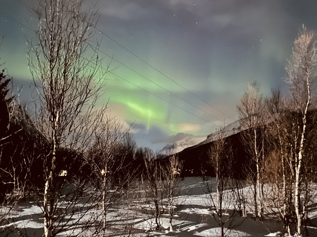 迷途夜鹰极光探索之旅-特罗姆瑟必去景点