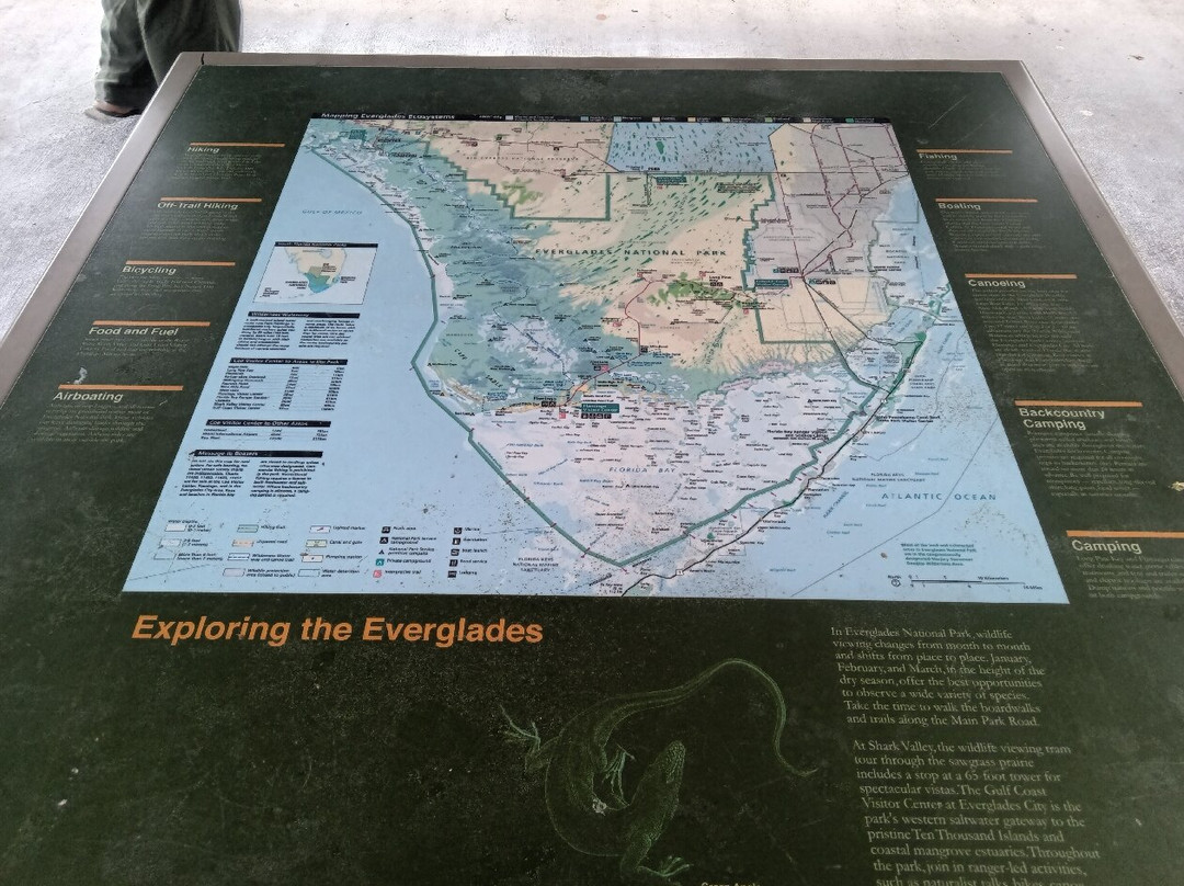 Everglades National Park-佛罗里达城必去景点