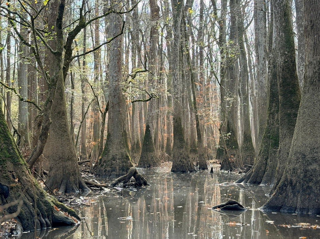 Carolina Outdoor Adventures-厄莫必去景点