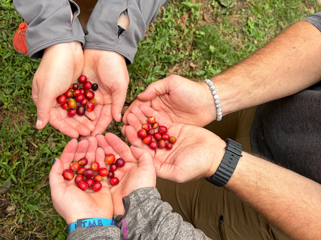 Mountain Gods Peru - Day Tours-库斯科必去景点