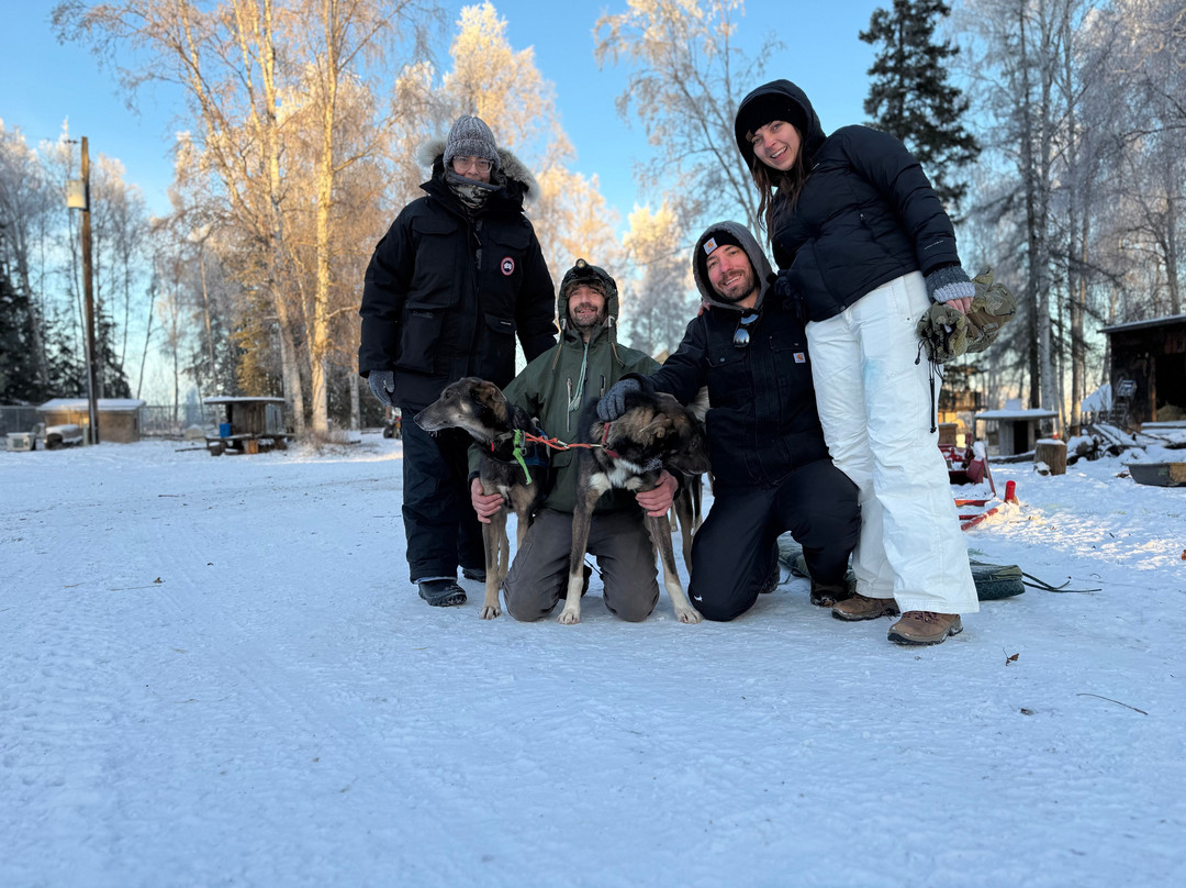 The Alaska Dogstead Mushing Company-Big Lake必去景点