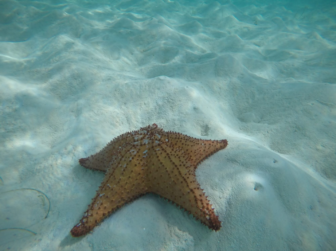 Franconero Escursioni-Bayahibe必去景点