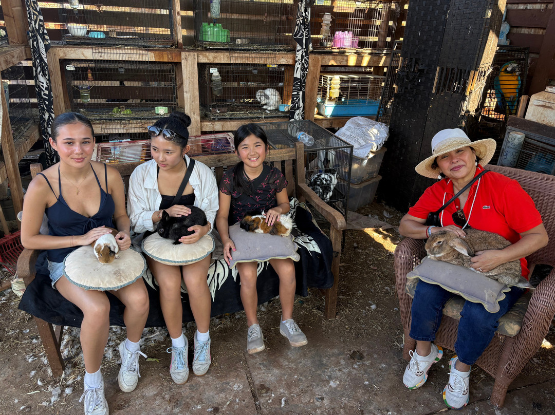 Maui Animal Farm-拉海纳必去景点