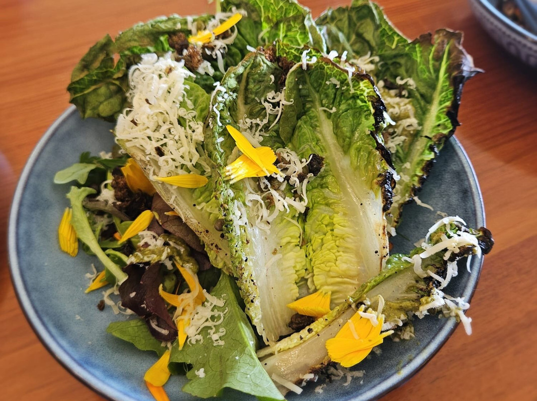 Milton Vineyard-斯旺西必去景点