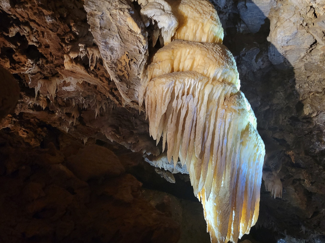 Black Chasm Cavern-Pine Grove必去景点