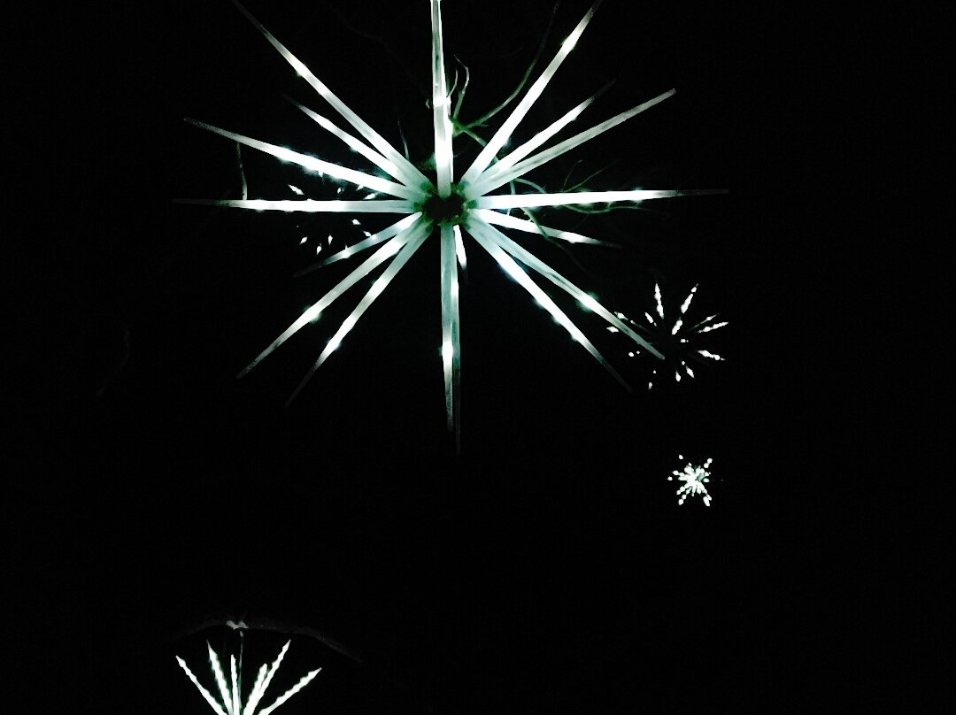 Westonbirt Arboretum-泰特伯里必去景点