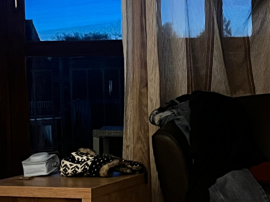 雷瑟尔公园酒店主图