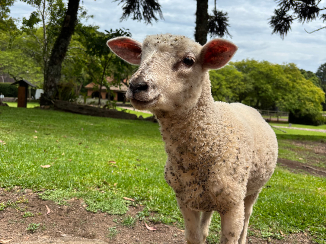 Estalagem La Hacienda主图