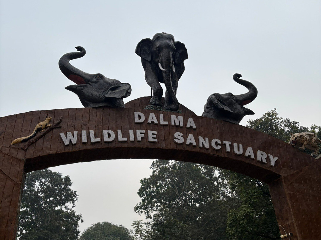 Dalma Wildlife Sanctuary-哲雪铺必去景点