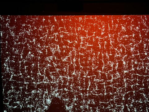 Lumia Gallery-布拉格必去景点