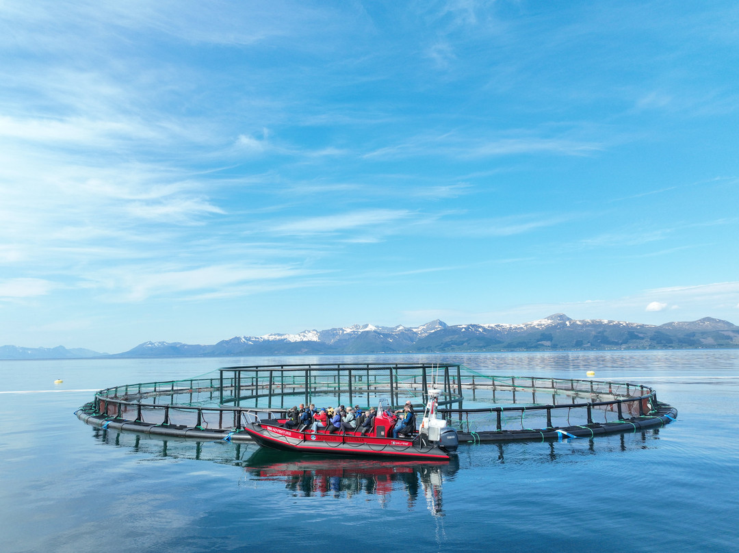 Akvakultur i Vesteralen-Sortland必去景点