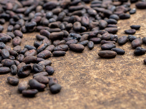 Maleku Chocolate-Upala必去景点