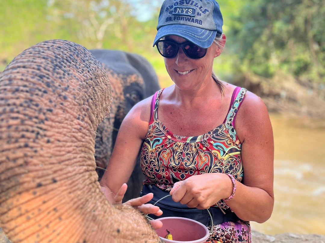 Elephant Freedom Project-凯格勒 必去景点